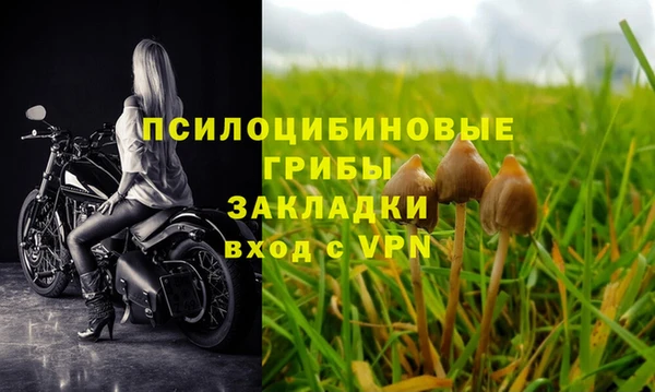 стаф Балабаново