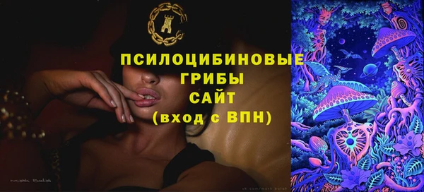 тгк Саяногорск