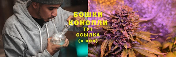 стаф Балабаново