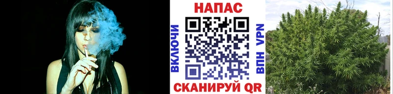 Марихуана ГИДРОПОН  Бикин 
